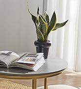 durable burlap