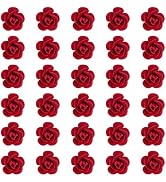 Wecoe 30 Pcs Small Red Rose Flower Hair Clips Cute Decorative Tiny Mini Clips Wedding Halloween H...