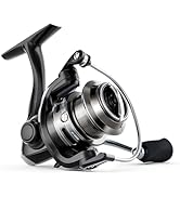 Ashconfish KF Spinning Fishing Reel,New Glass Fiber Frame,7+1BB,5.2:1 Gear Ratio,2 Line Cup Style...