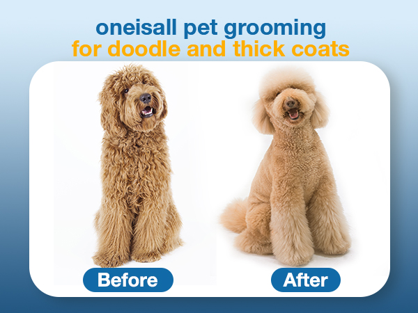 dog clippers for poodle