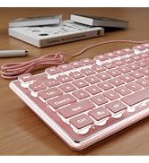 SEUNKWANG Wired Backlit Keyboard with Pudding Keycaps, Quiet Full Size Computer Keyboard White Ba...