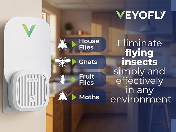 Fly Traps