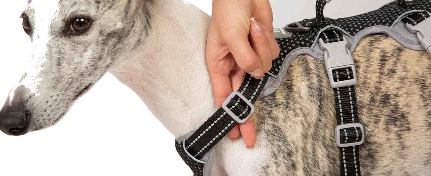 escape proof harness for dog