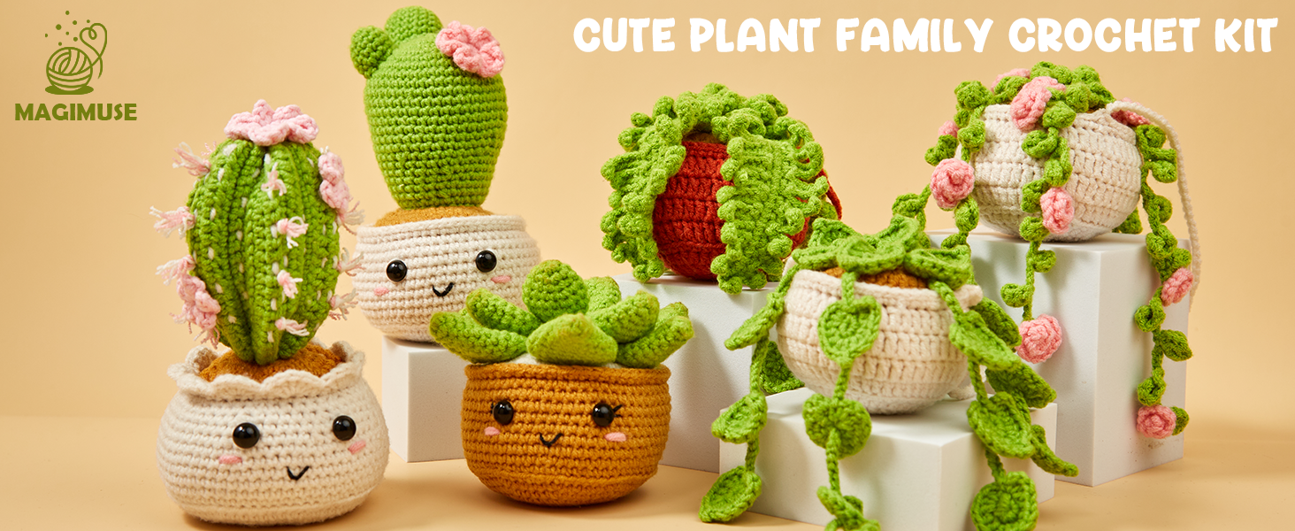 6 Pack Hanging Potted Plants Family