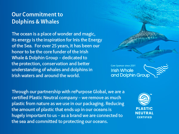 irish whale and dolphin group