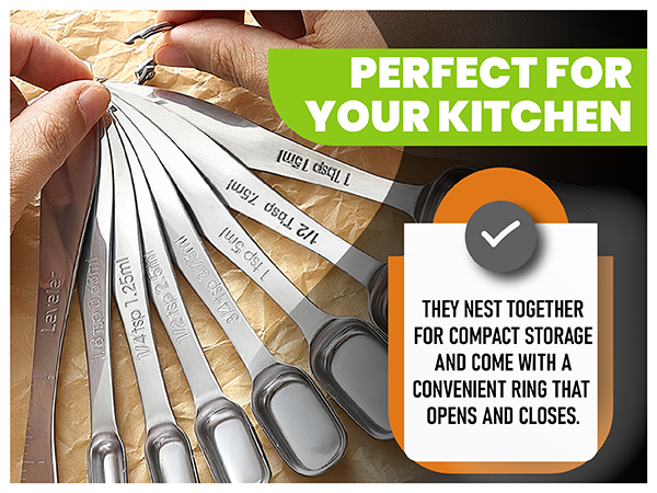 Spice measuring spoons