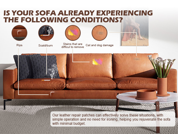 The leather sofa is a question of the day1