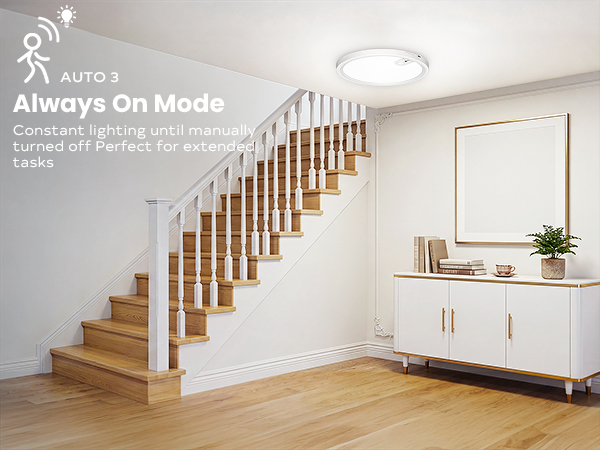 motion sensor ceiling light