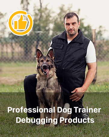 dog training collar