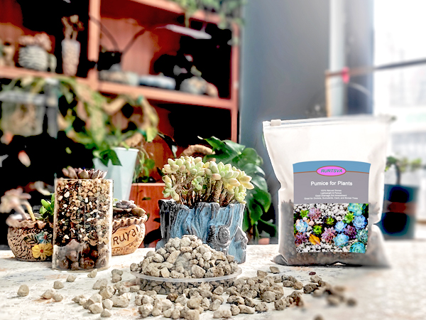 pumice stones1
