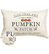 RABUSOFA Fall Pillow Covers 12x20 Inch Outdoor Waterproof Thanksgiving Autumn Pumpkin Patch Quote...