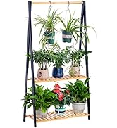 COPREE Bamboo 2-tier Hanging Plant Stand Planter Shelves Flower Pot Organizer Rack Multiple Flowe...