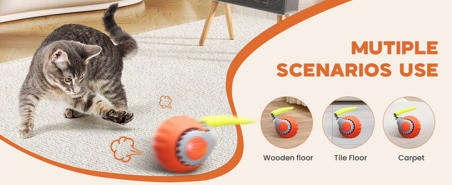 cat toy ball