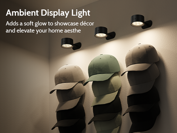 display lights