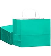 qiqee 24PCS Large Gift Bag with Handles Bulk 13