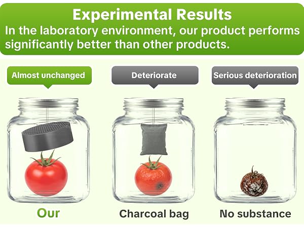 refrigerator deodorizer