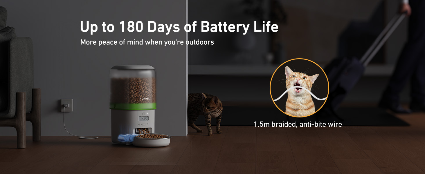 automatic cat feeder automatic cat food dispenser automatic pet feeder