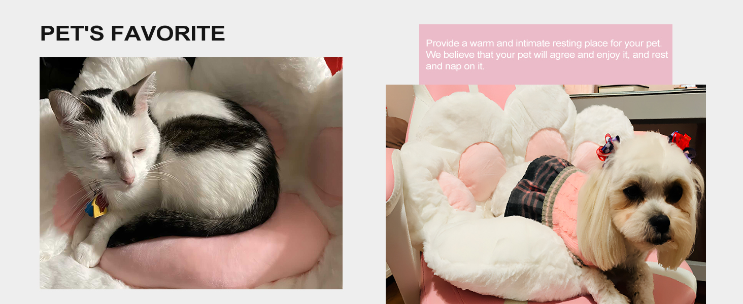 cat paw cushion