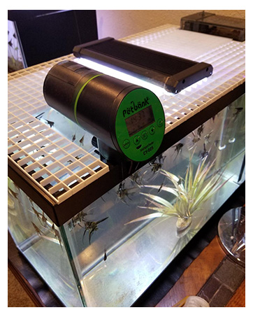 fish automatic feeder