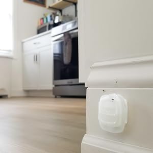 TERRO Multi-Surface Liquid Ant Bait Stations control the entire colony
