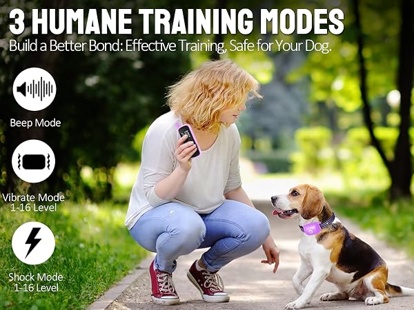 dog training collar