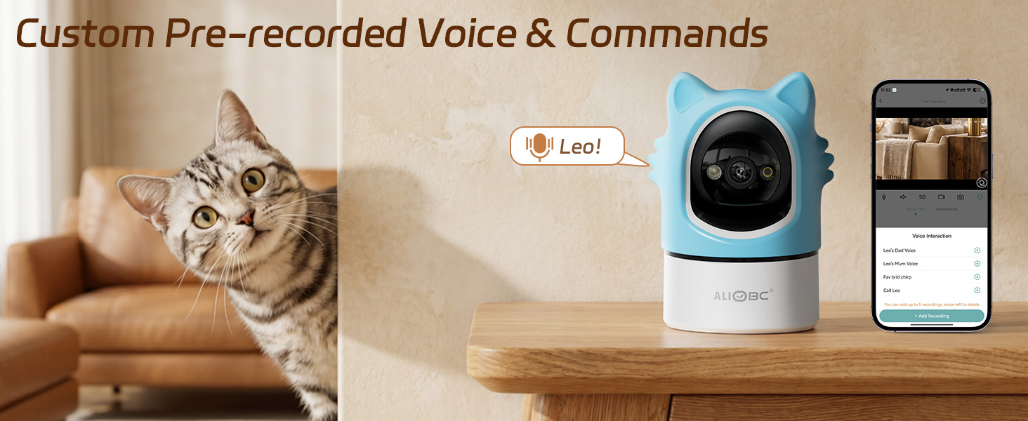 Custom Pre-recorded Voice & Commands