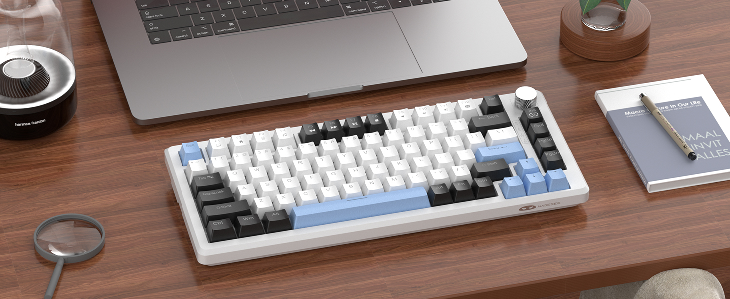 Great for Gaming and Office