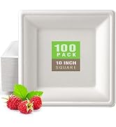 Gezond 100 Pack Compostable Square Paper Plates 10 Inch Disposable Plate Large Square Dinner Plat...