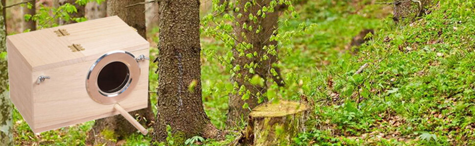 natural wood bird house