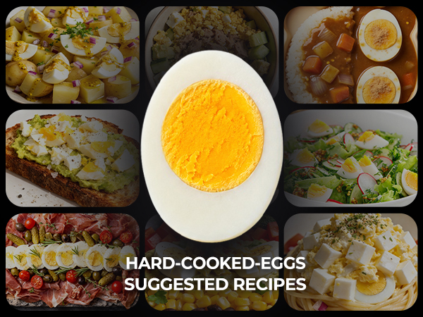 stainless steel egg cooker