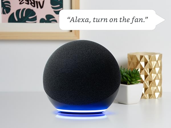 Electrical Outlet Switches Power Strips