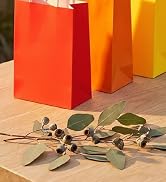SUNCOLOR 24-Pack Rainbow Gift Bags with Handles, 8" Multi-Color Paper Party Favor Bags for Goodie...