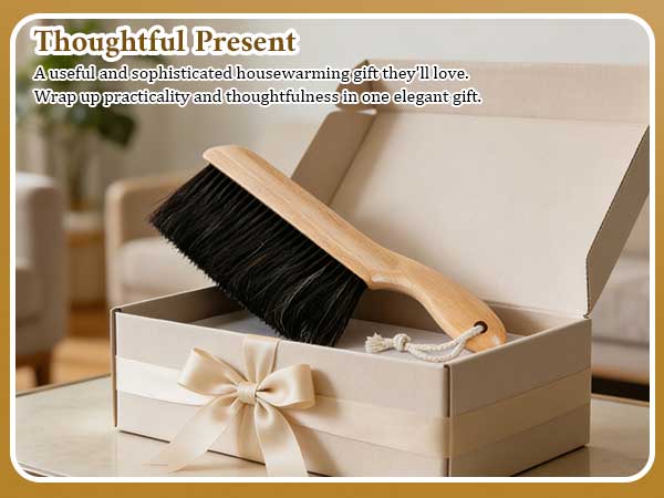 cleaning dust brush