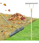 Thatch Rake, 2 in 1 Stainless Steel Garden Rake for Thatch Leaves,55” Heavy Duty 19 Tines Lawn Ma...