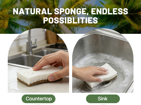 Biodegradable Kitchen Dish Sponges