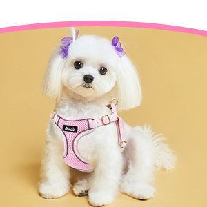Puppy Harness