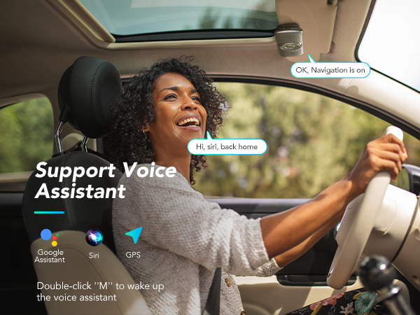 Voice Assistant