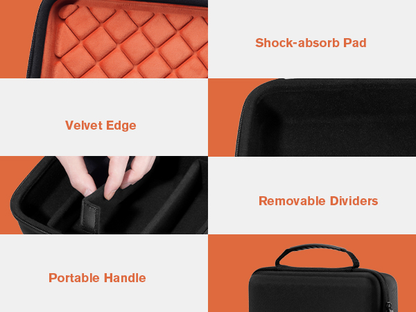 Travel Sunglasses Organizer