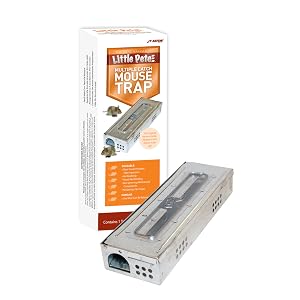 JT Eaton 428CL Little Pete with Window