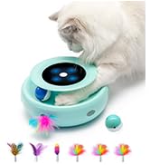 electronic cat toy