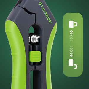 Safety Lock Design