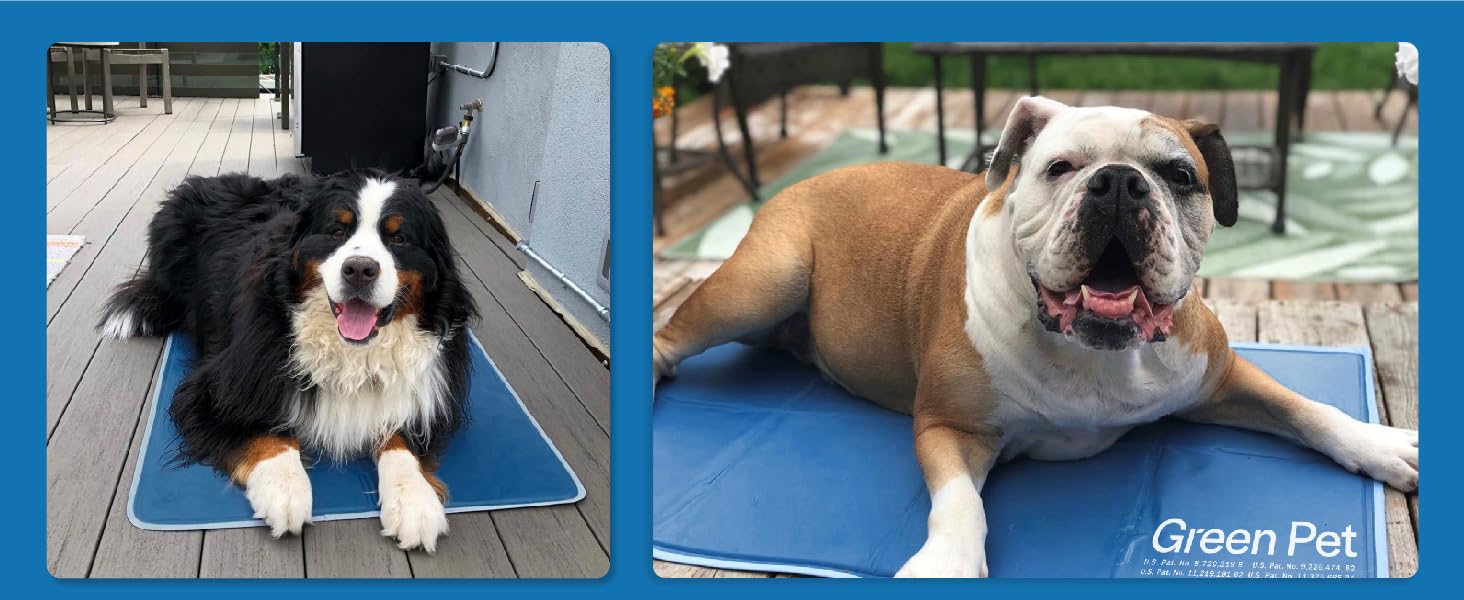 cool pet pad