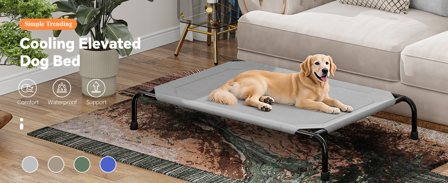 Raised Dog Bed