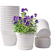 HOMENOTE Pots for Plants, 15 Pack 6 inch Plastic Planters with Multiple Drainage Holes and Trays ...