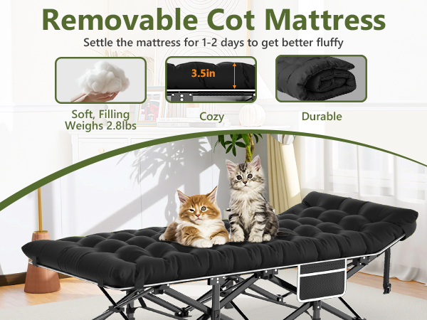 camping cot