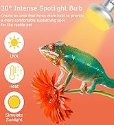 heat bulb