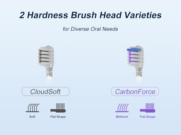 electric toothbrush