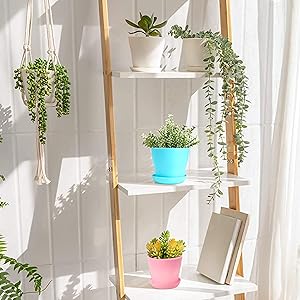 flower pots