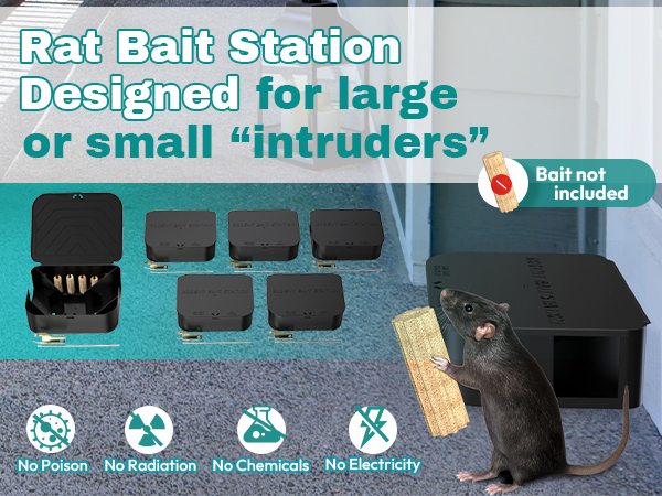 rat stations