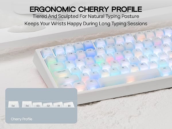 AegisSil Keycaps Set